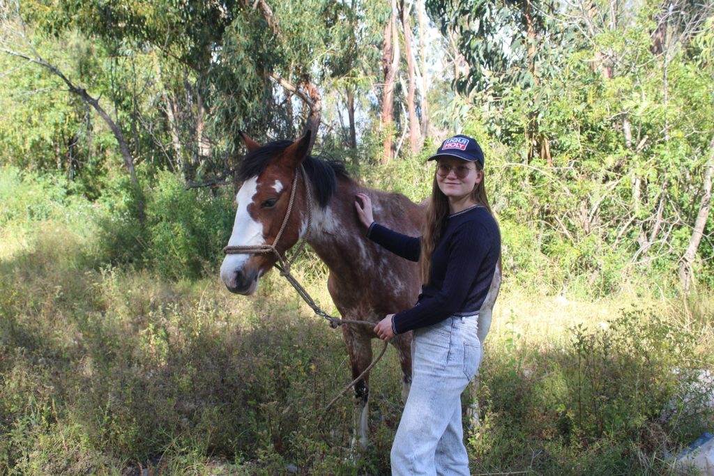Volunteer with horse in Urubamba