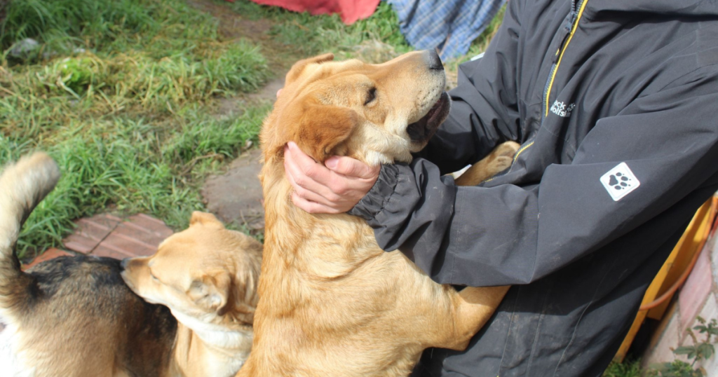 Volunteer at a dog shelter in Cusco hugs a rescued dog