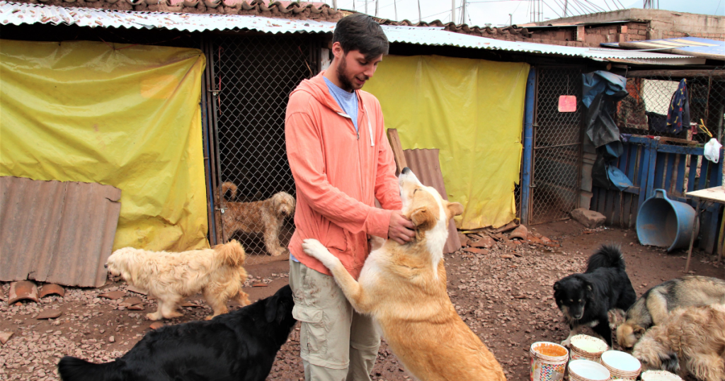 A volunteer caring dor a dog in the dog shelter