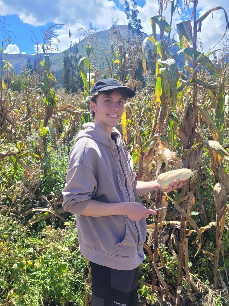 Volunteer at organic farming